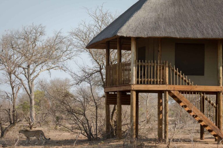 nThambo-Tree-Camp-accommodation