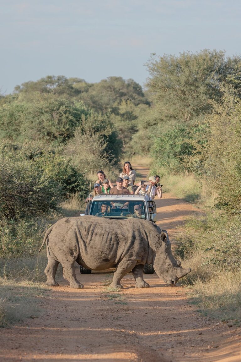 Rhino Monitoring