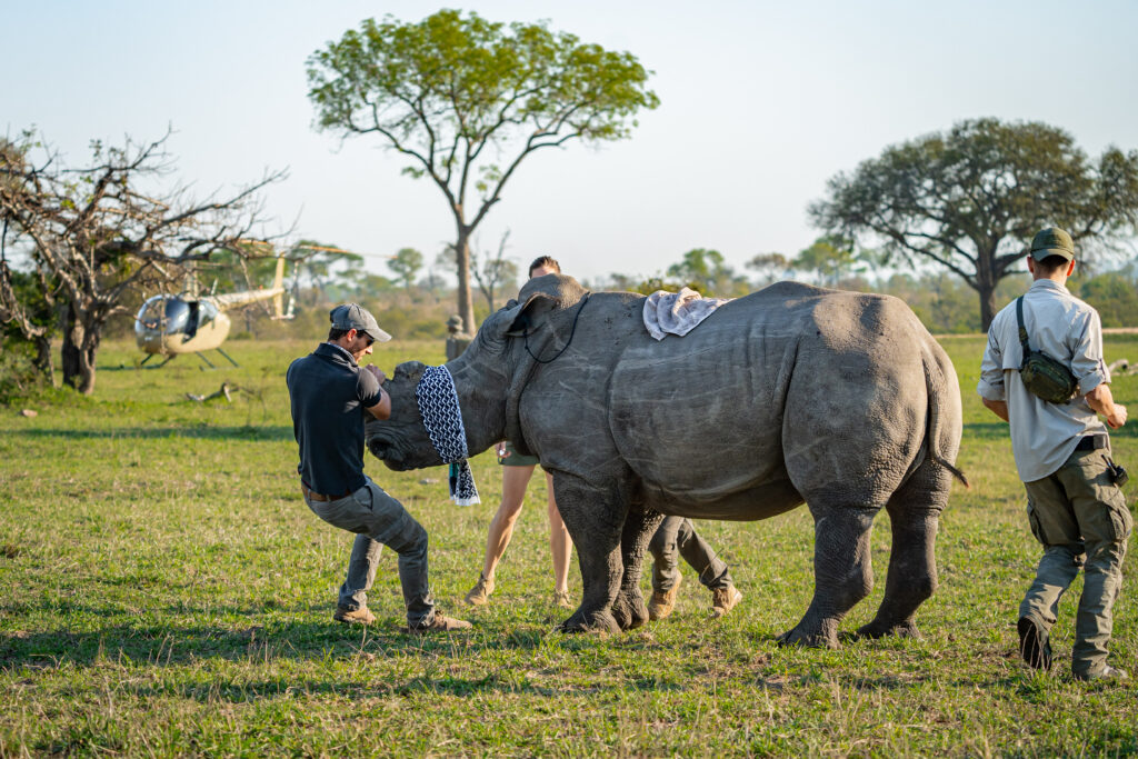 Rhino Conservation Project