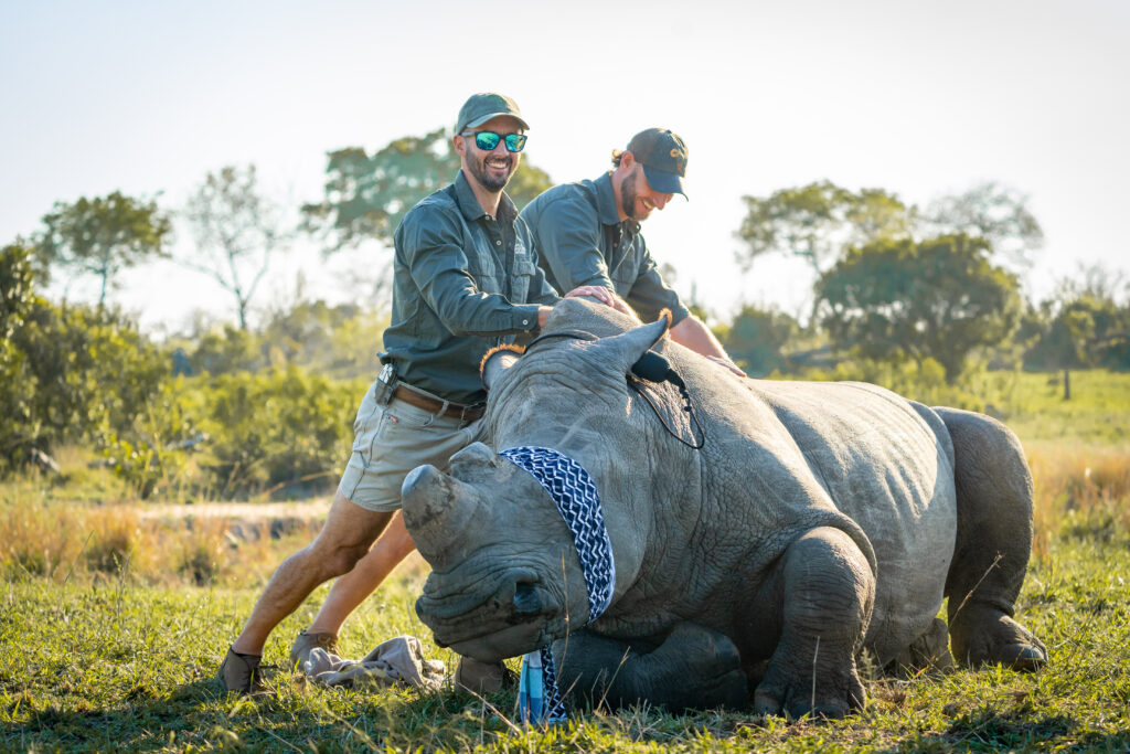 Rhino Conservation Project