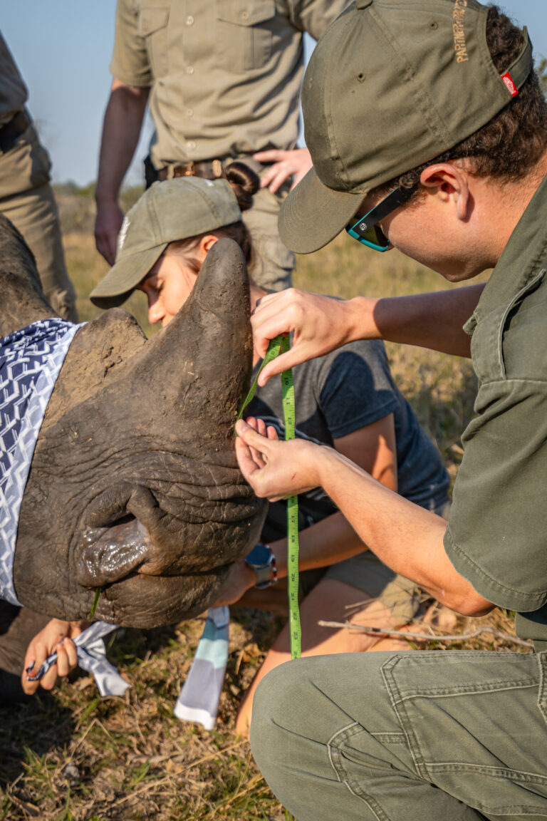 Rhino Conservation Project