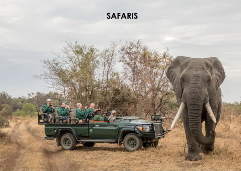 Conservation Safari