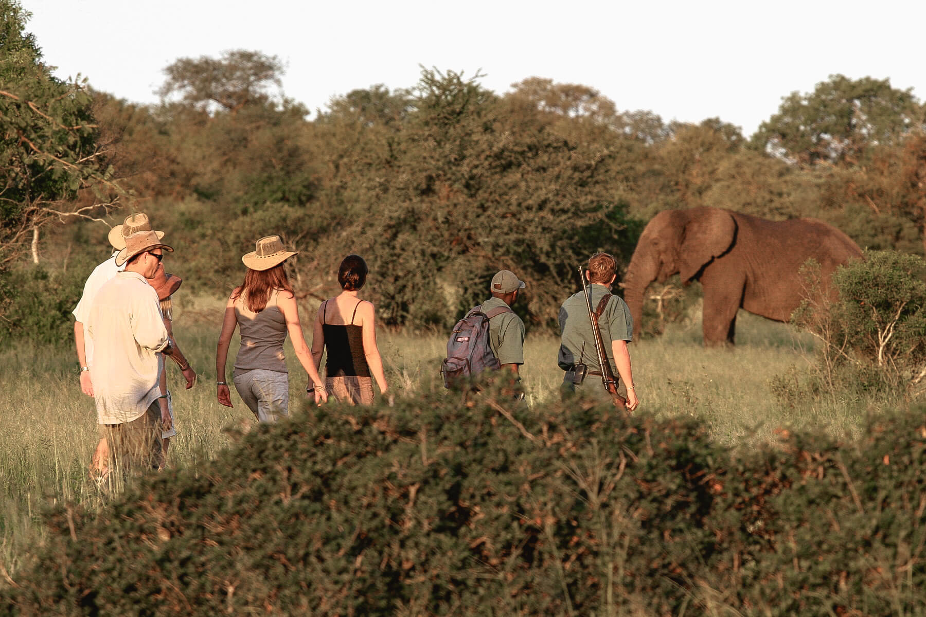 Blog: Are Walking Safaris Safe?